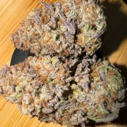 Nasiona marihuany Watermelon Zkittlez - opis odmiany konopi