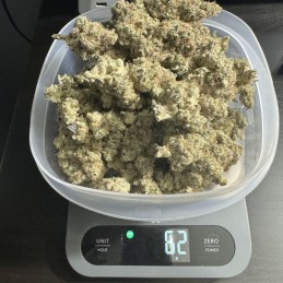 Nasiona marihuany Red Dragon - opis odmiany konopi