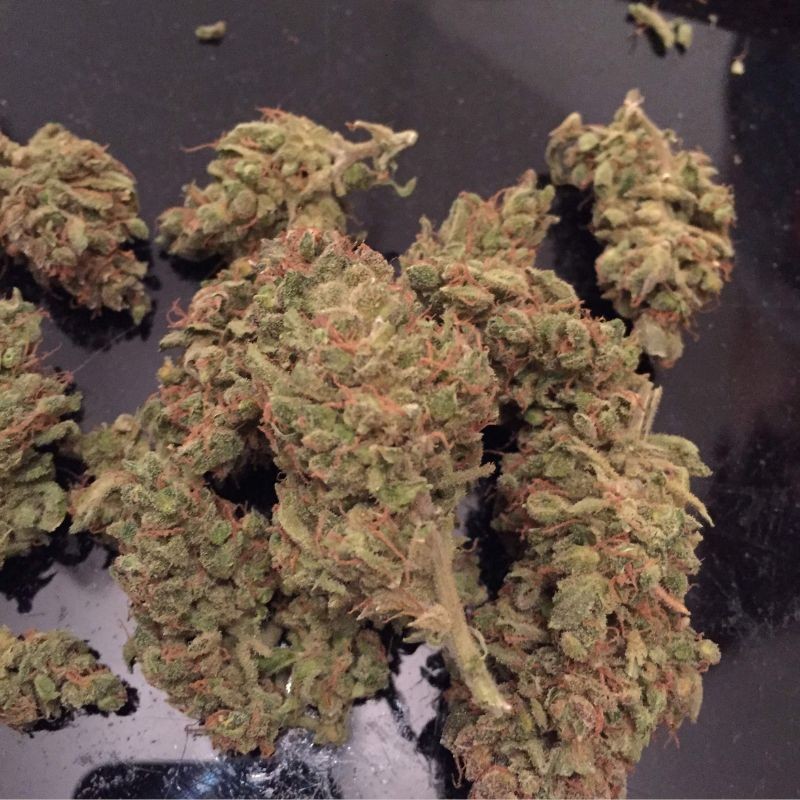 Nasiona marihuany Tangerine Dream - opis odmiany konopi