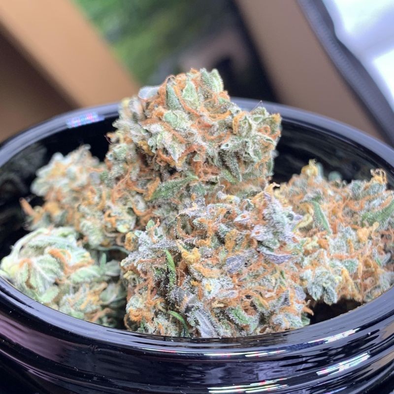 Nasiona marihuany El Patron - odmiana konopi