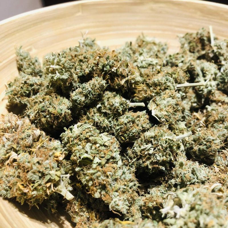 Nasiona marihuany automatyczne Royal Creamatic Auto - opis odmiany konopi