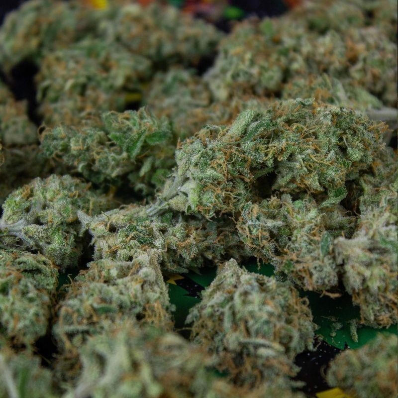 Nasiona marihuany Lithium OG Kush - opis odmiany konopi