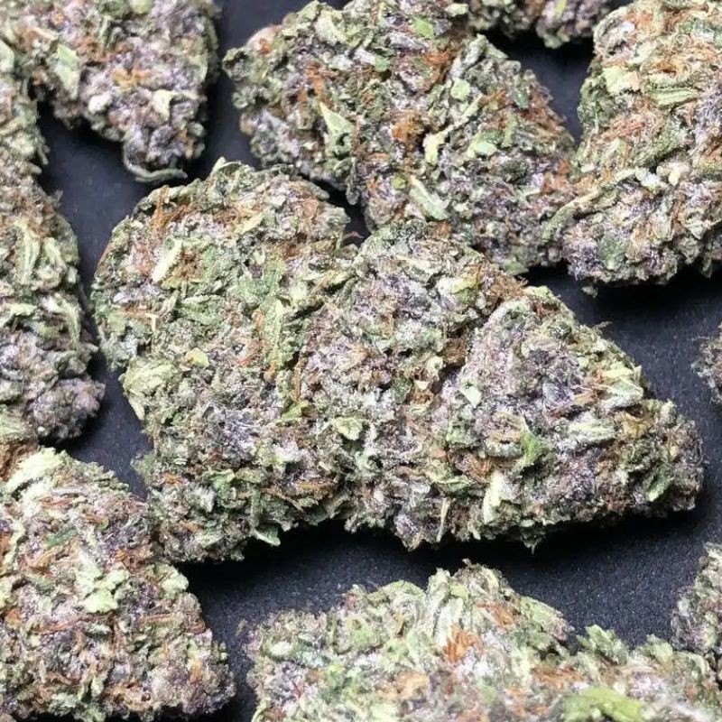 Nasiona marihuany Purple Crack - opis odmiany konopi