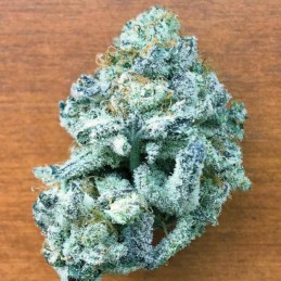 Nasiona marihuany Fruitylicious - odmiana konopi