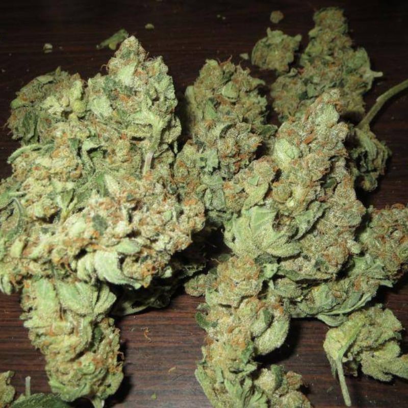 Nasiona marihuany Fruit Punch - odmiana konopi