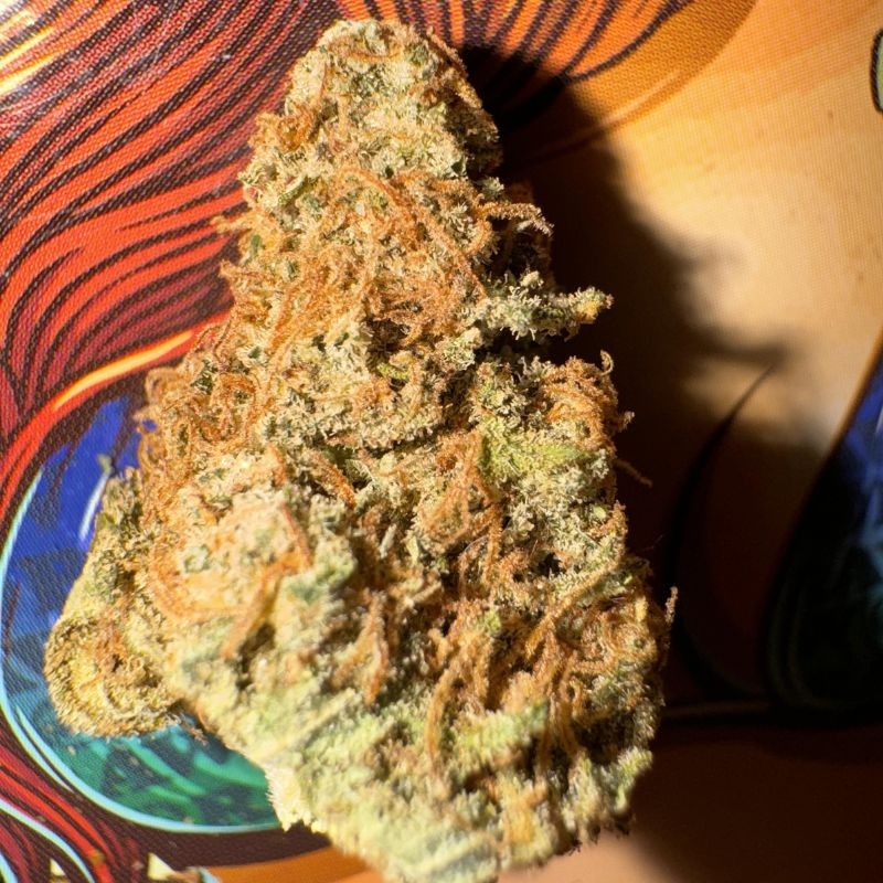 Nasiona marihuany Bruce Banner 3 - odmiana konopi