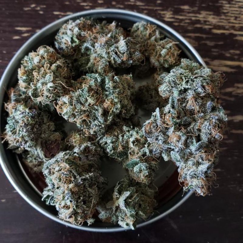 Nasiona marihuany Super Skunk Flower Bomb - opis odmiany konopi