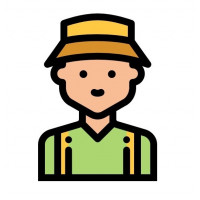 Nasiona marihuany dla początkujących