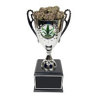 Nagradzane odmiany nasion marihuany