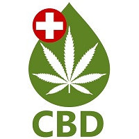 Nasiona marihuany z wysokim poziomem CBD