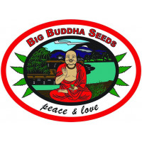Big Buddha Seeds