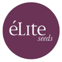 Elite Seeds