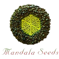 Mandala Seeds
