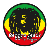 Reggae Seeds