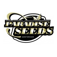 Nasiona marihuany, konopi - Paradise Seeds