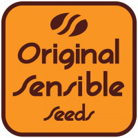 Original Sensible Seeds