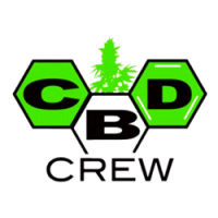 Nasiona marihuany, konopi - CBD Crew
