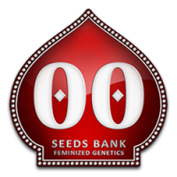 Nasiona marihuany - konopi - 00 Seeds Bank
