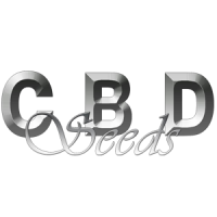 Nasiona marihuany - konopi - CBD Seeds