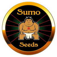 Sumo Seeds