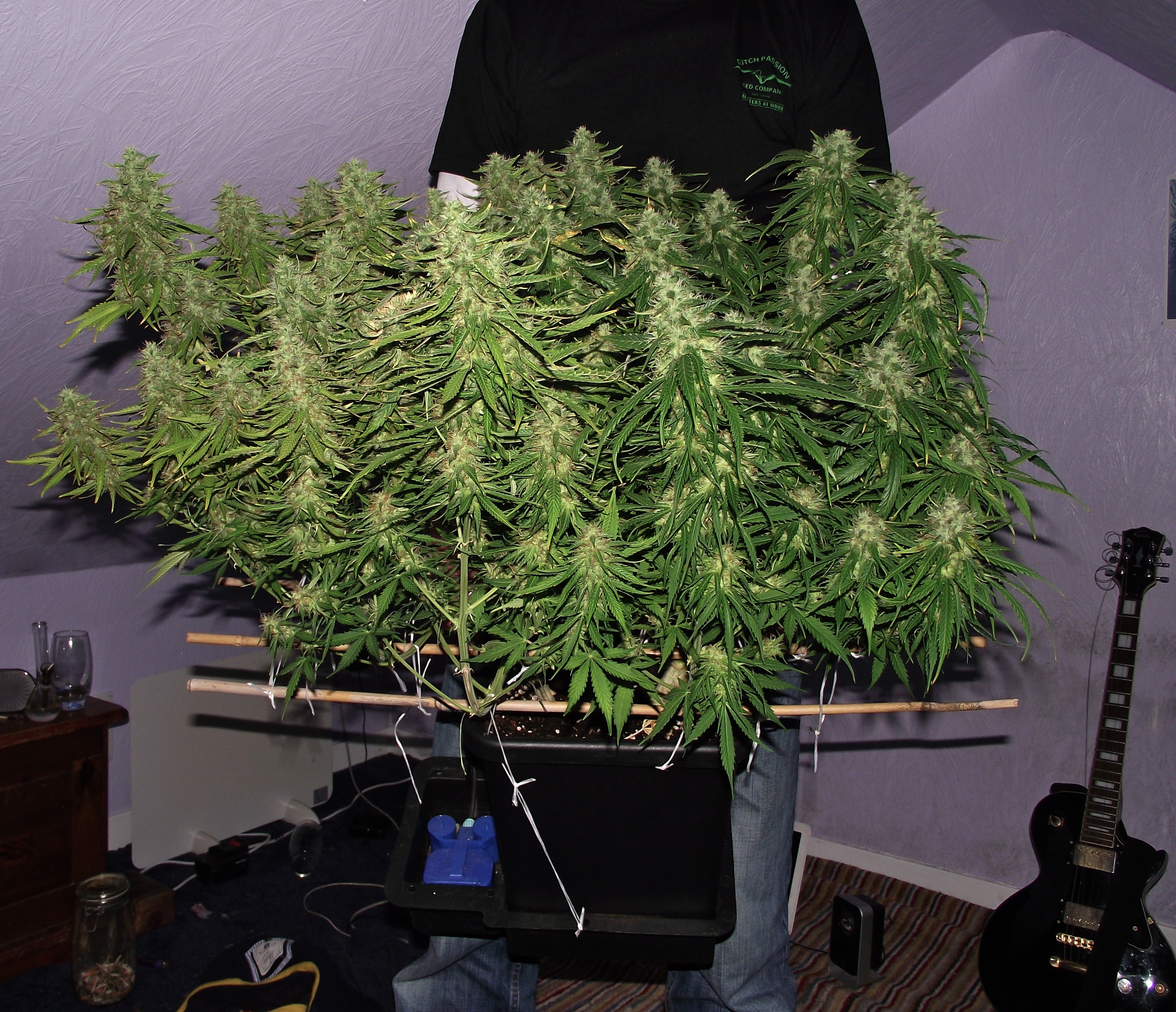 Automazar fotorelacja