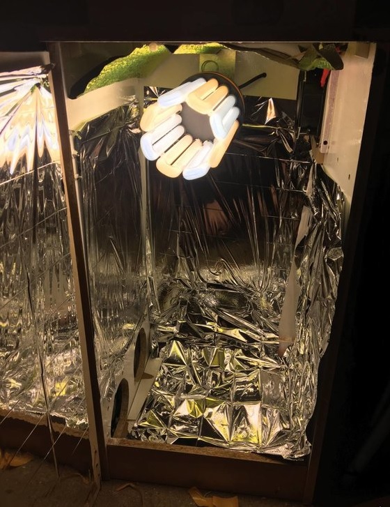 automaty indoor fotorelacja