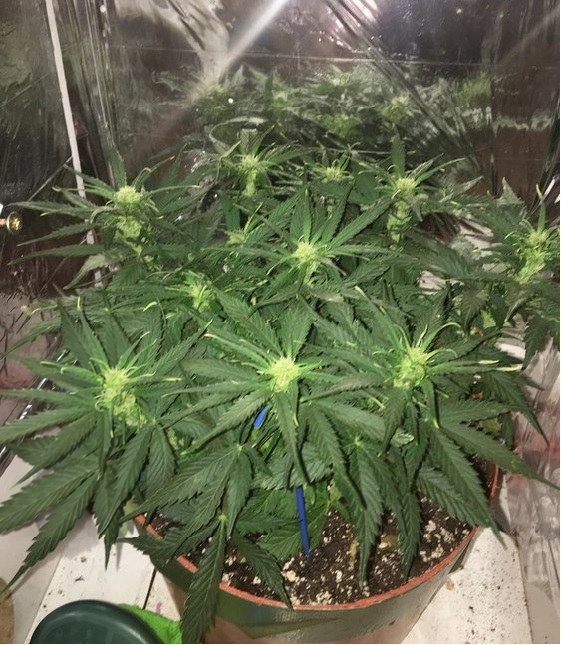 automaty indoor fotorelacja