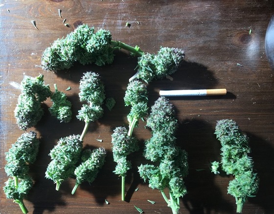 automaty indoor fotorelacja