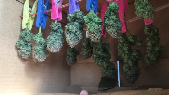 automaty indoor fotorelacja