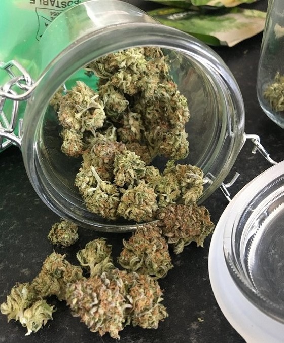 automaty indoor fotorelacja