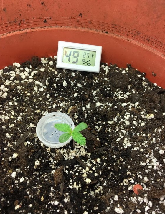 automaty indoor fotorelacja