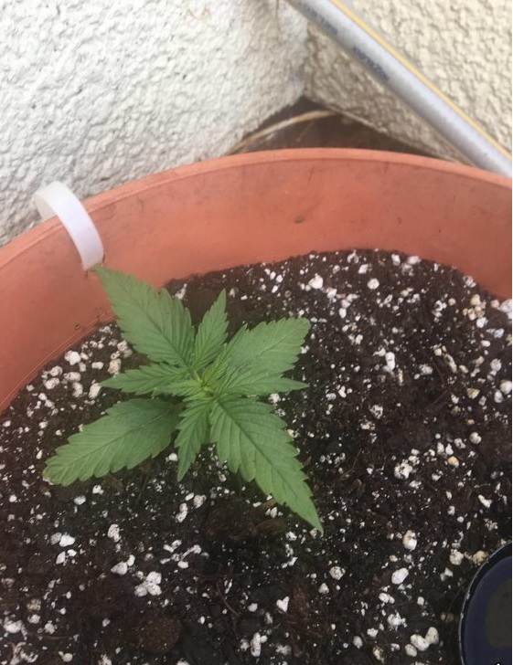 automaty indoor fotorelacja