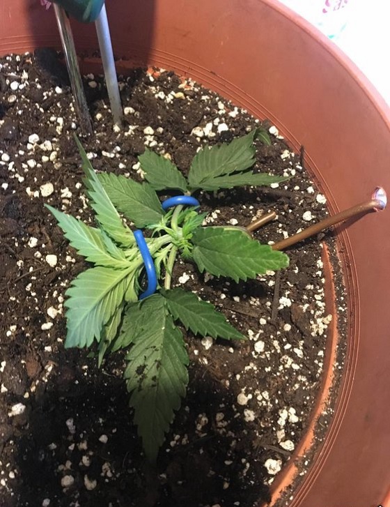 automaty indoor fotorelacja