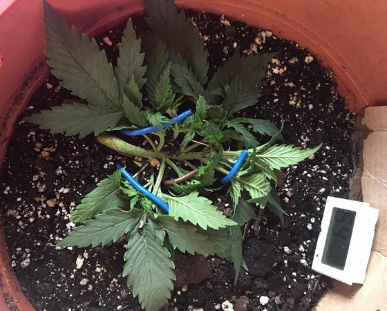 automaty indoor fotorelacja