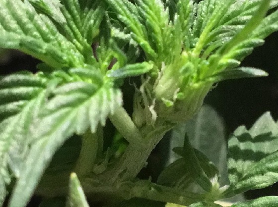 automaty indoor fotorelacja