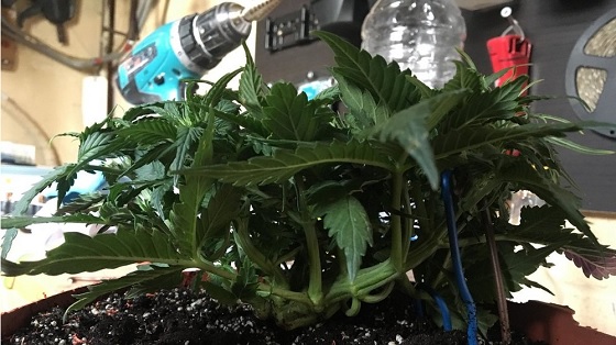 automaty indoor fotorelacja