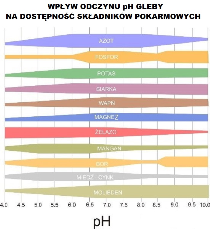 Niskie pH ziemi czyli jak zwiększyć pH ziemi