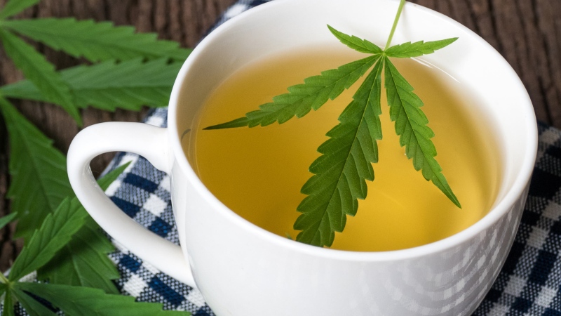 herbata z konopi