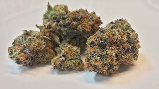 Co to jest marihuana Skunk