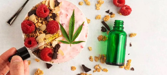 Olejek CBD przed czy po jedzeniu