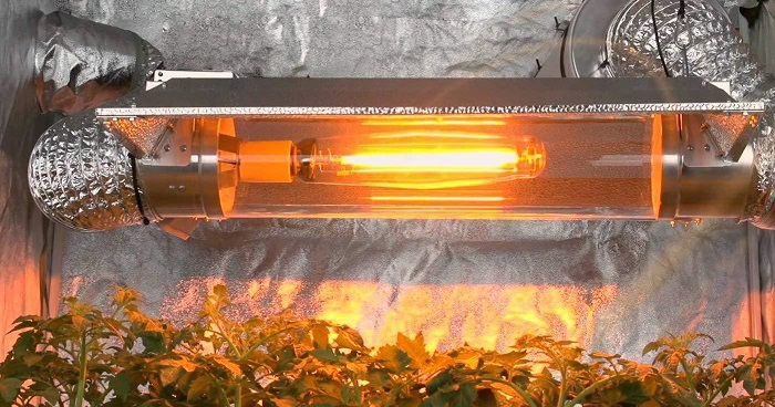 Jaki odbłyśnik do oświetlenia konopi