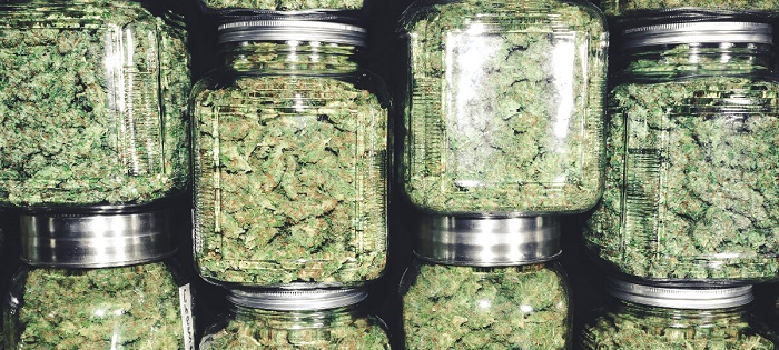 Kiedy zbierać plony