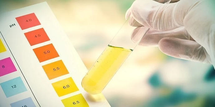 Niskie pH ziemi czyli jak zwiększyć pH ziemi