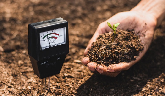 Niskie pH ziemi czyli jak zwiększyć pH ziemi