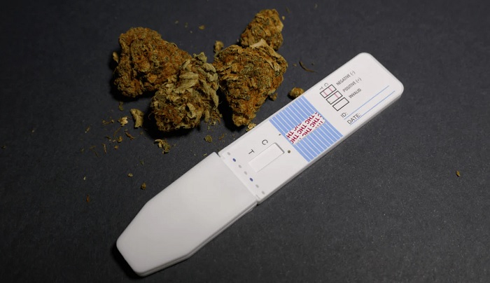 thc we krwi