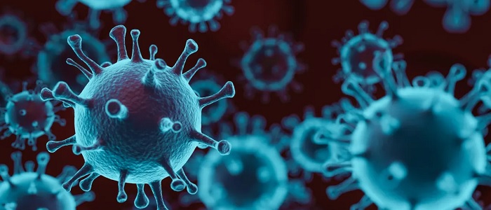 Czerwone lub fioletowe łodygi marihuany