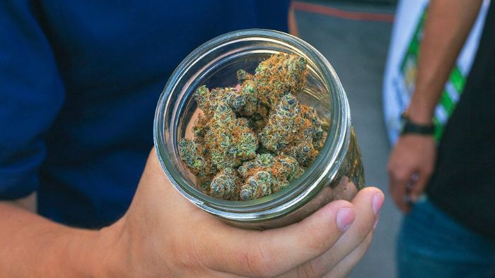 przechowywanie marihuany