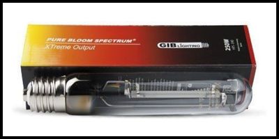 lampa hps do uprawy marihuany