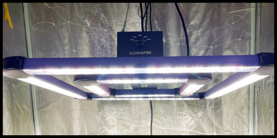 lampa do uprawy konopi