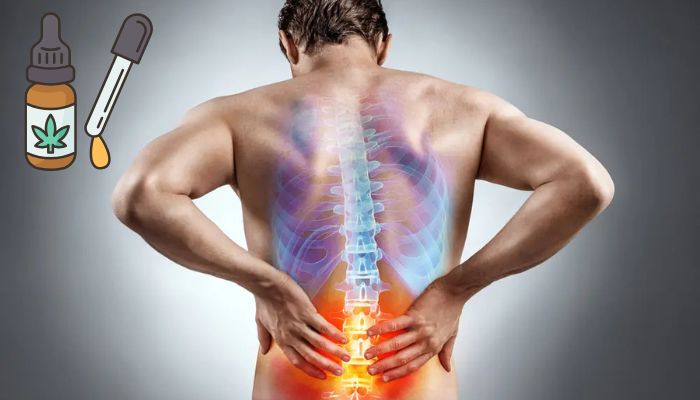 olejek cbd na rwę kulszową